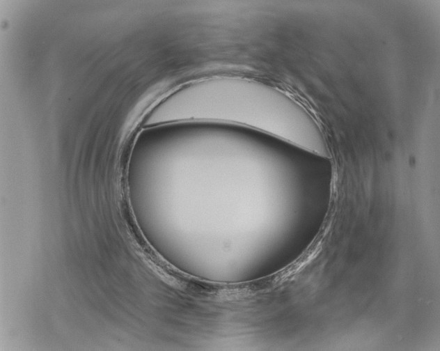 X0000076300101200609290739