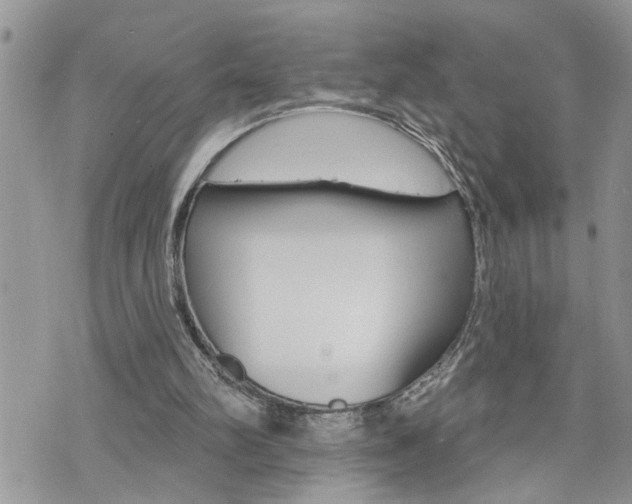 X0000076300102200609290739