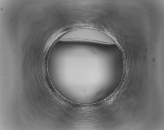 X0000076300103200609290739