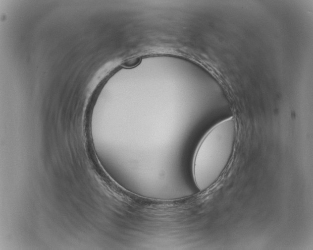 X0000076300104200609290739