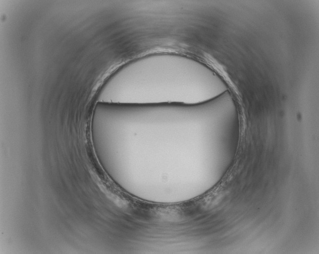 X0000076300106200609290739