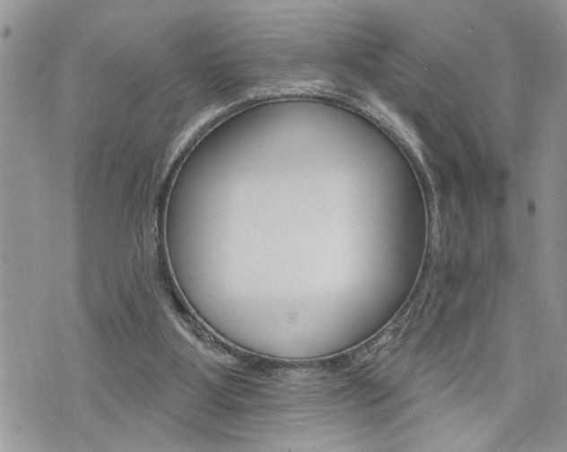 X0000076300107200609290739