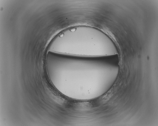 X0000076300108200609290739