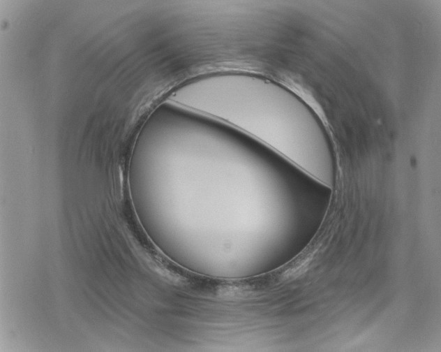 X0000076300109200609290739