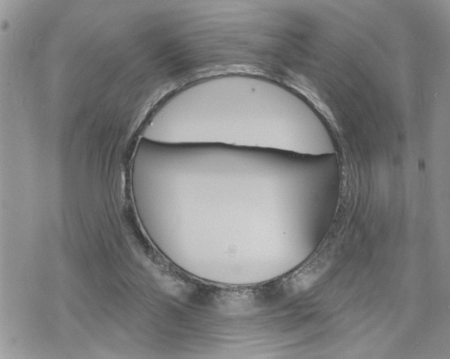 X0000076300110200609290739