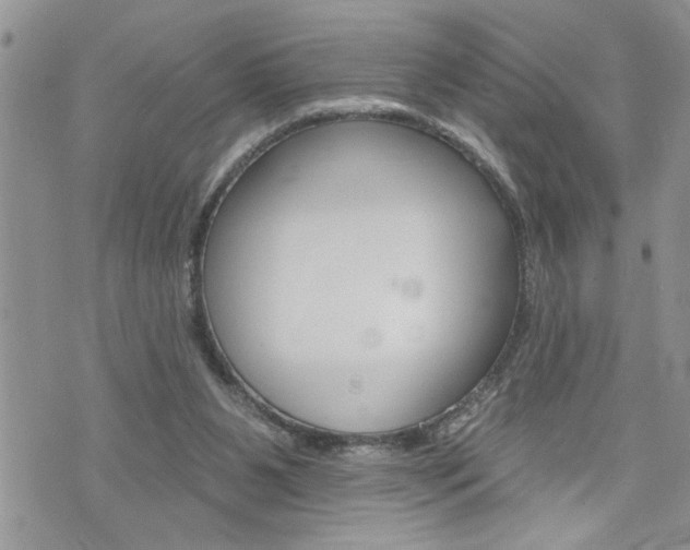 X0000076300111200609290739