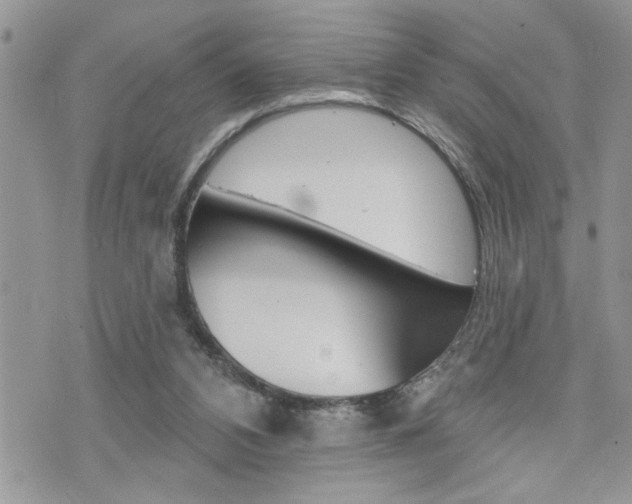 X0000076300112200609290739