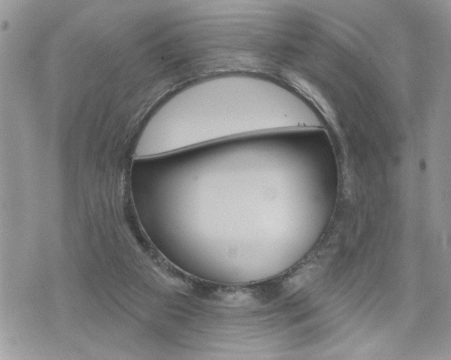 X0000076300113200609290739