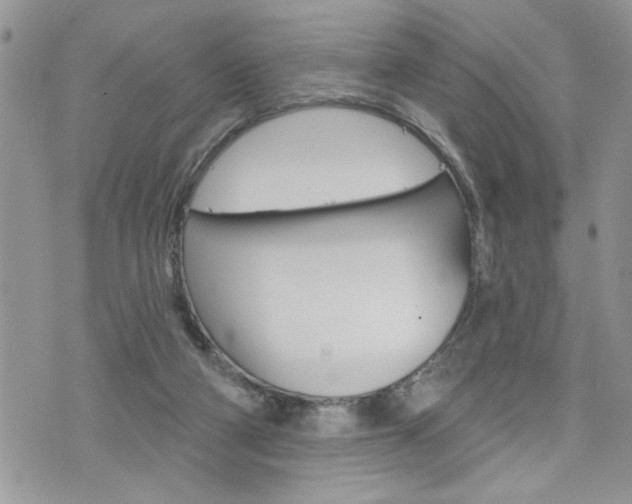 X0000076300114200609290739