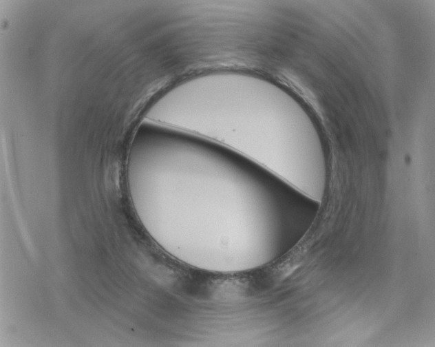 X0000076300115200609290739