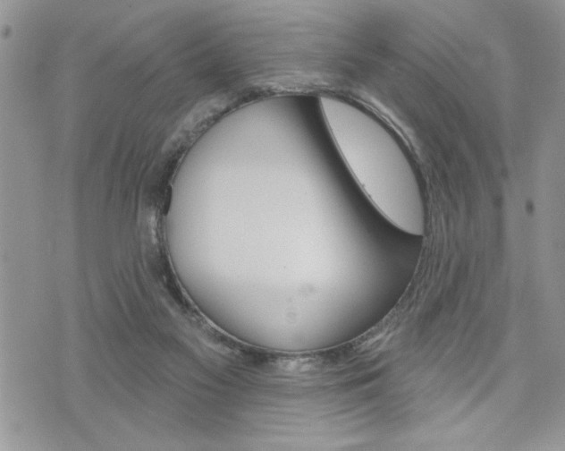 X0000076300117200609290739