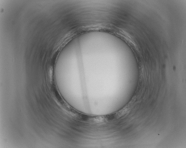 X0000076300118200609290739