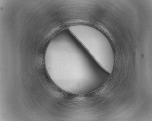 X0000076300119200609290739