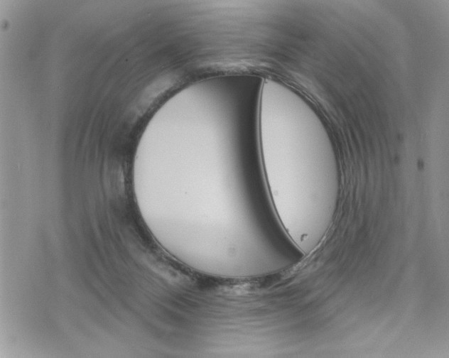 X0000076300120200609290739