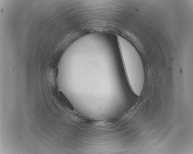 X0000076300121200609290739