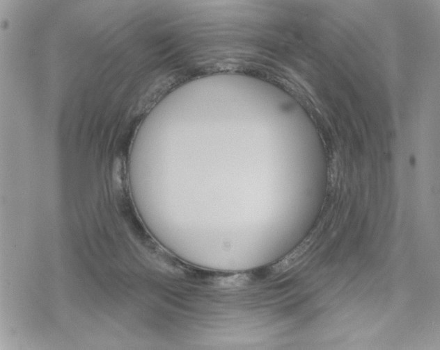 X0000076300122200609290739