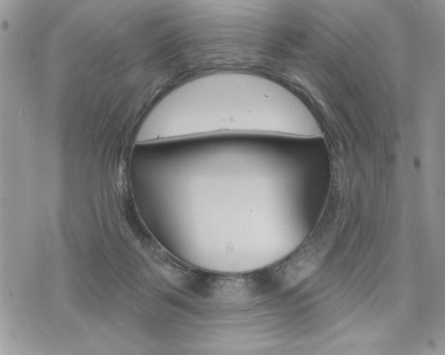 X0000076300123200609290739