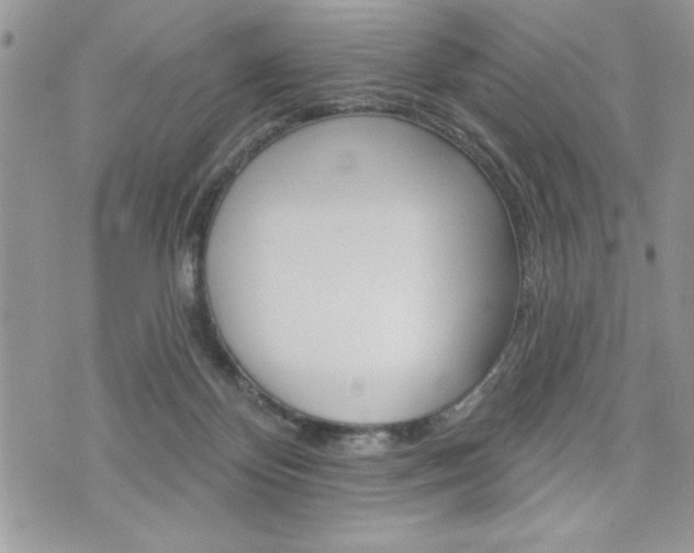 X0000076300124200609290739