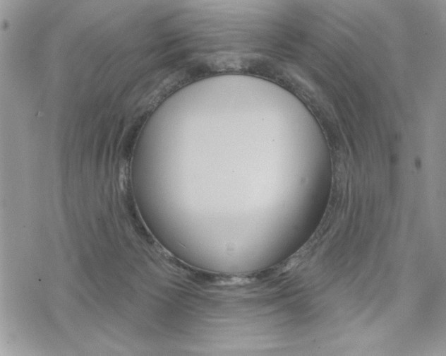 X0000076300125200609290739