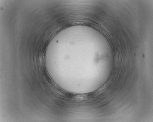 X0000076300126200609290739