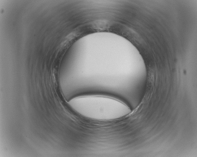 X0000076300128200609290738