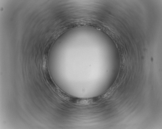 X0000076300129200609290738