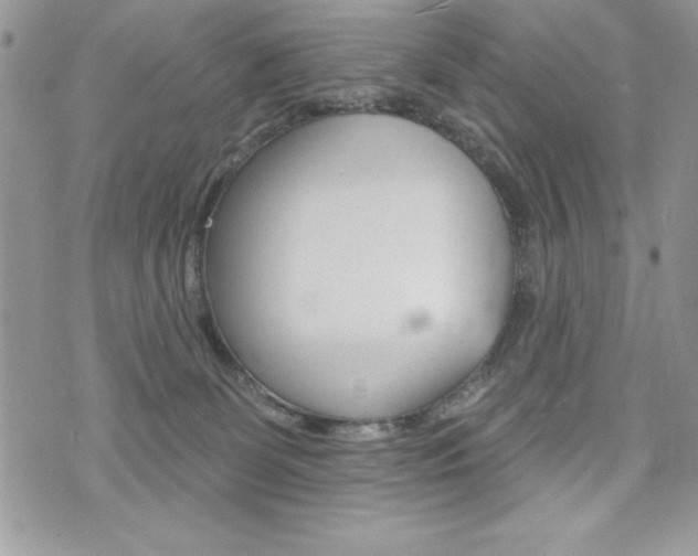 X0000076300131200609290738