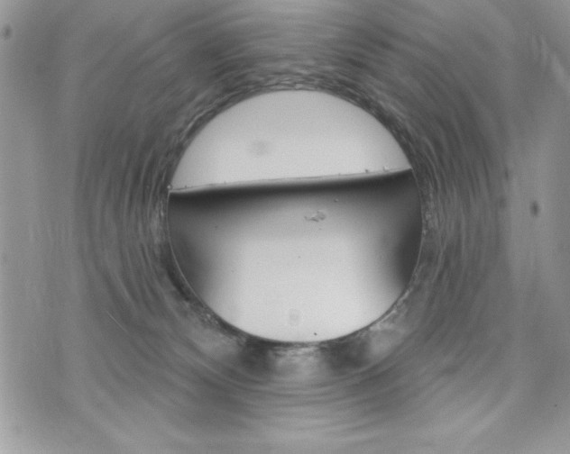 X0000076300132200609290738