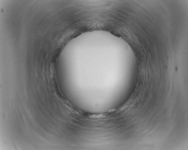 X0000076300133200609290738