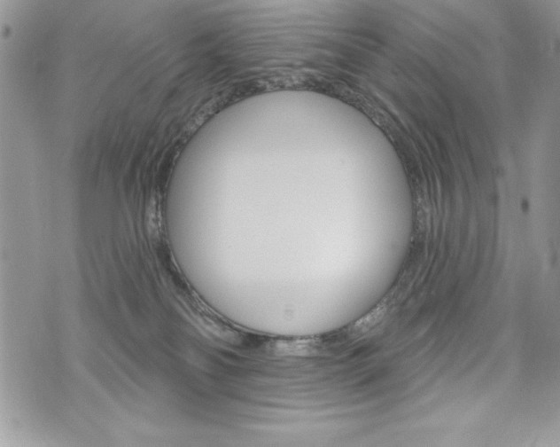 X0000076300134200609290738