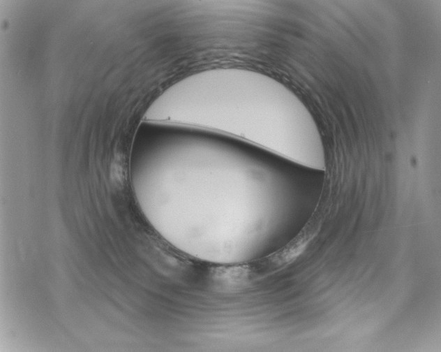 X0000076300135200609290738