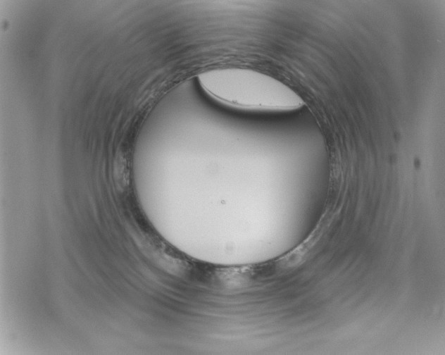 X0000076300136200609290738