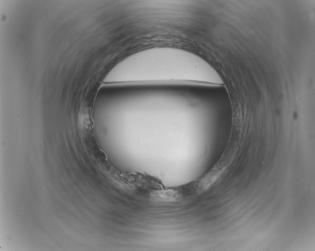 X0000076300137200609290738