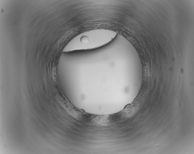 X0000076300138200609290738