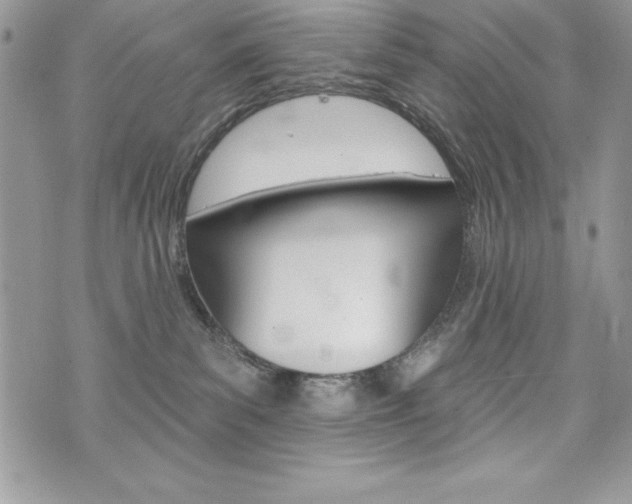 X0000076300139200609290738