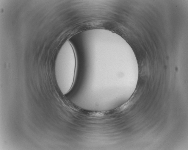 X0000076300140200609290738