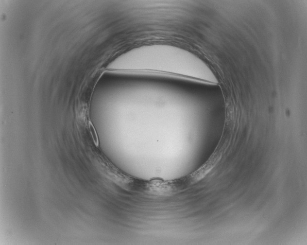 X0000076300141200609290738