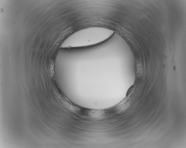 X0000076300142200609290738