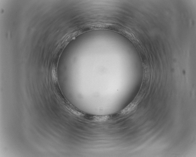 X0000076300143200609290738