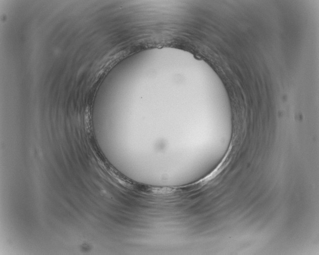 X0000076300144200609290738