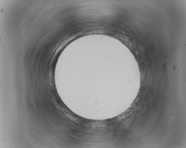 X0000076300146200609290737