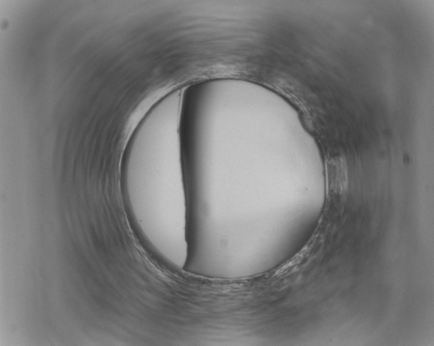 X0000076300147200609290737