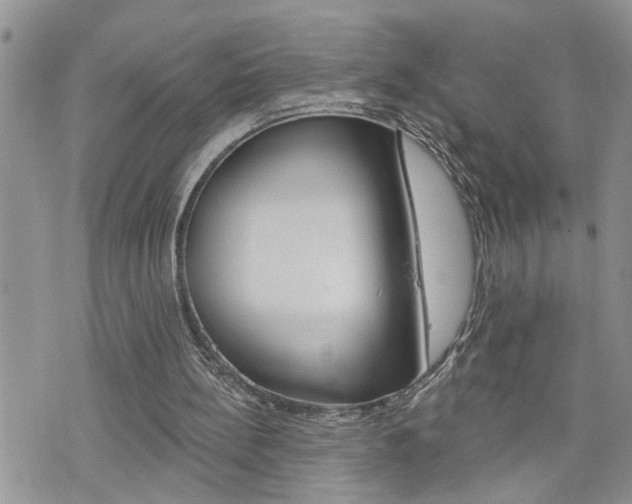 X0000076300148200609290737