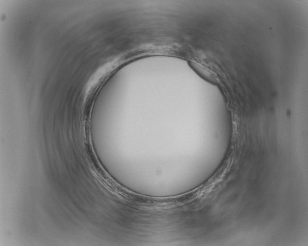 X0000076300149200609290738