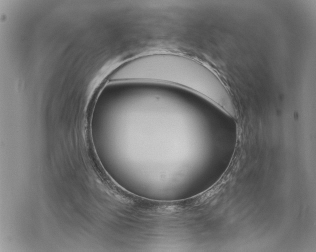 X0000076300152200609290738