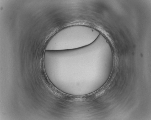 X0000076300153200609290738