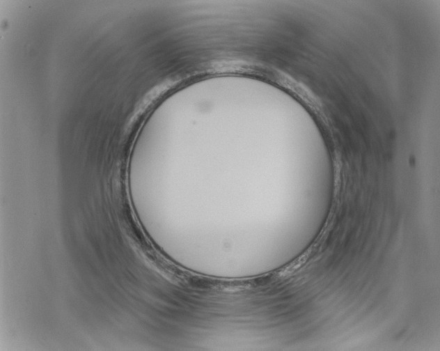 X0000076300155200609290738