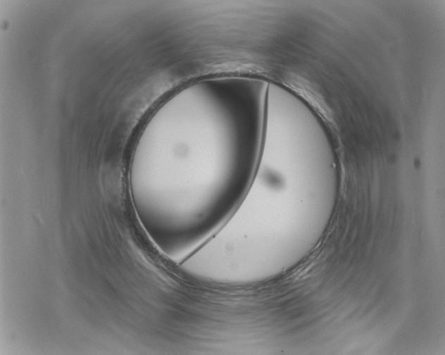 X0000076300156200609290738