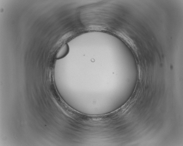 X0000076300157200609290738