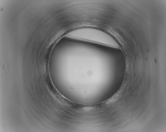 X0000076300158200609290738